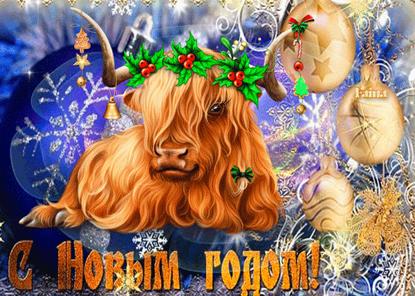 картинка под названием - Бык С новым годом! из категории С днём рождения.
