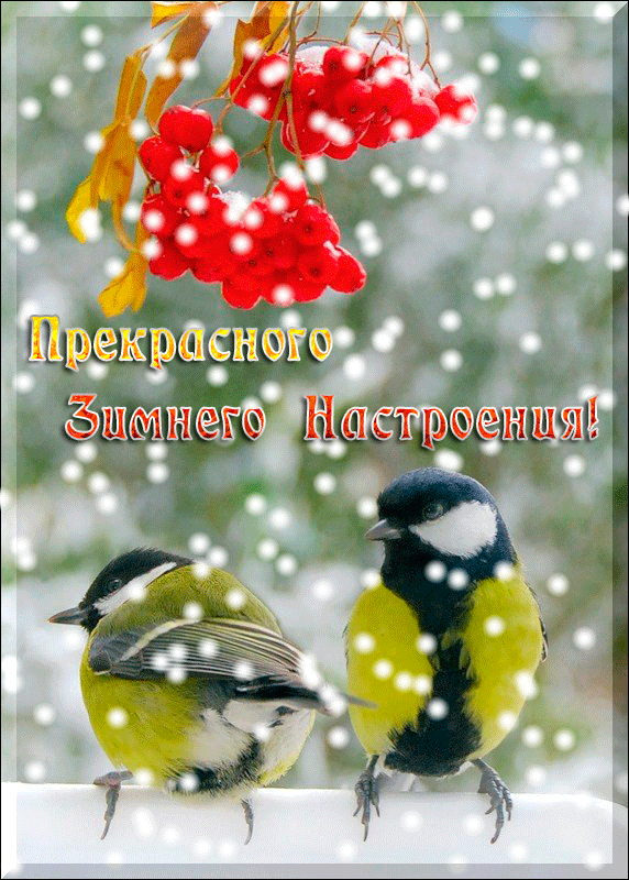 картинка под названием - Зимнего настроения 2015 из категории С днём рождения.