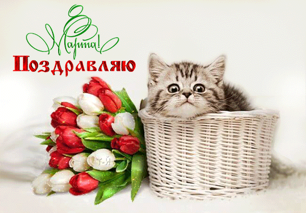 картинка под названием - Поздравляю! из категории С днём рождения.
