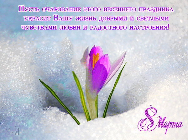 картинка под названием - 8 Марта! из категории С днём рождения.