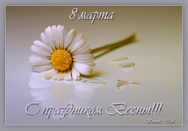 картинка под названием - С праздником весны! из категории С днём рождения.