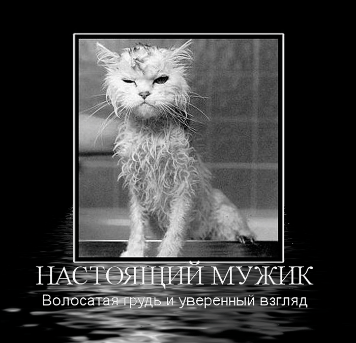 картинка под названием - Настоящий мужик из категории С днём рождения.