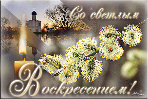 картинка под названием - Вербное воскресение из категории С днём рождения.