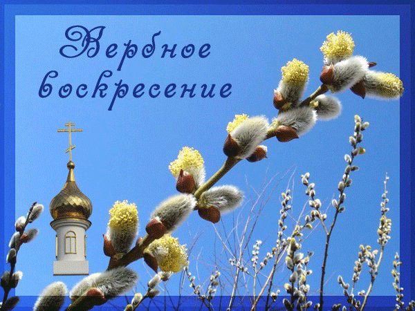 картинка под названием - Ветка вербы из категории С днём рождения.