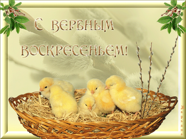 картинка под названием - С Воскресеньем Вербным! картинка к празднику из категории С днём рождения.