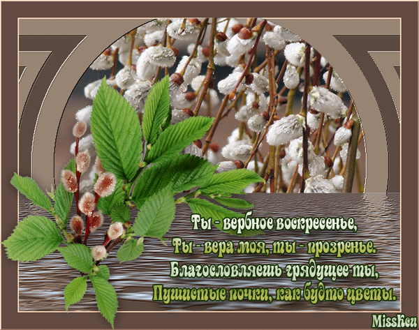 картинка под названием - Пушистые почки вербы, стихи к празднику из категории С днём рождения.