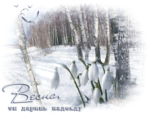 картинка под названием - Весна, ты даришь надежду из категории С днём рождения.