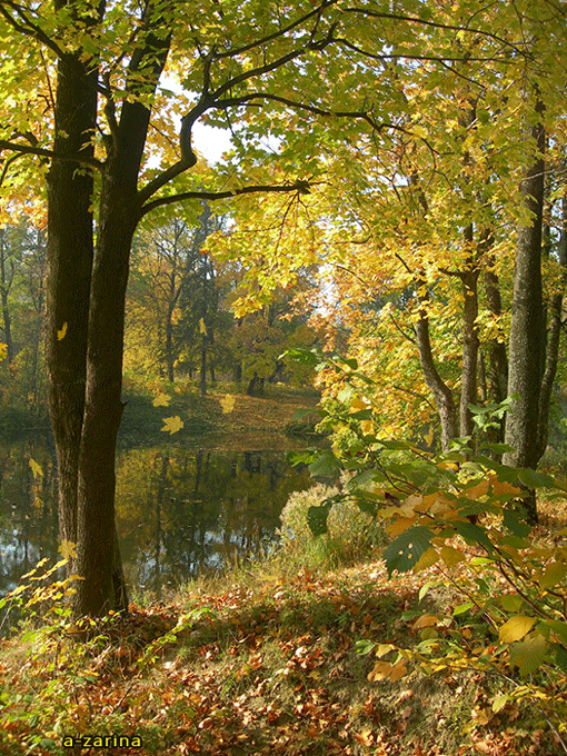 картинка под названием - Моя душа настроена на осень из категории С днём рождения.