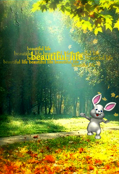 картинка под названием - beautiful  life из категории С днём рождения.