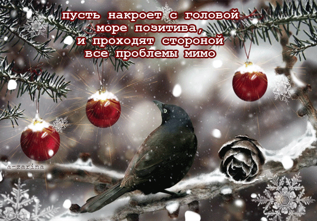 картинка под названием - Море позитива из категории С днём рождения.