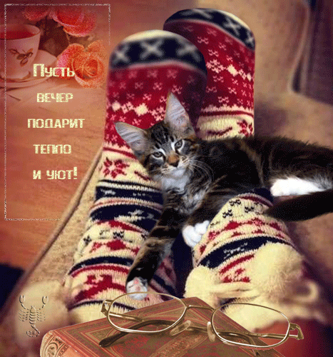 картинка под названием - Теплого вечера! из категории С днём рождения.