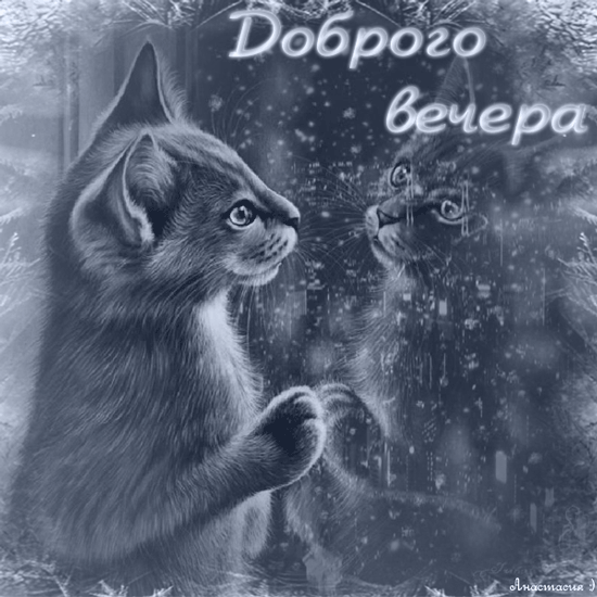 картинка под названием - Доброго вечера! Котёнок из категории С днём рождения.