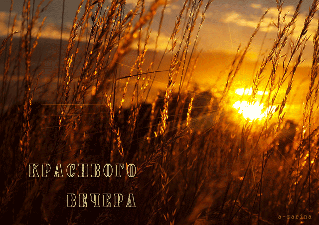 картинка под названием - Красивого вечера из категории С днём рождения.