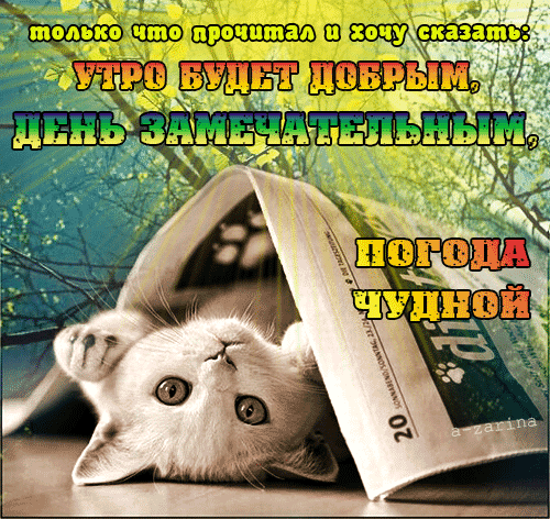 картинка под названием - Доброе утро (новости) из категории С днём рождения.