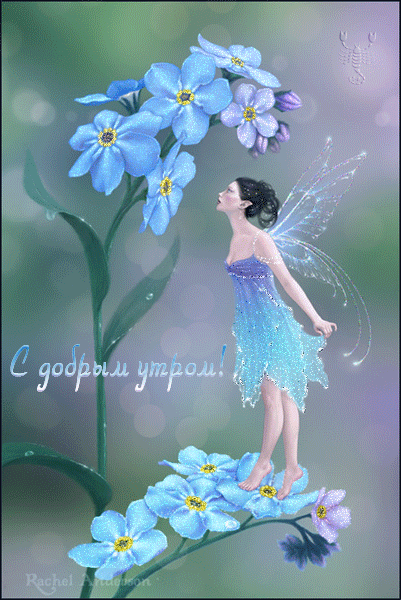 картинка под названием - Доброе утро! из категории С днём рождения.