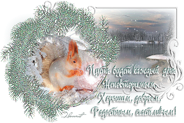 картинка под названием - Доброго-дня! из категории С днём рождения.