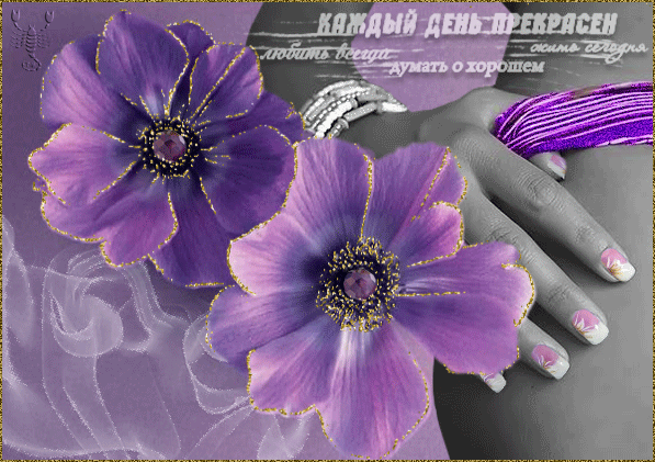 картинка под названием - Каждый день прекрасен! из категории С днём рождения.