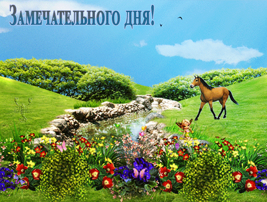 картинка под названием - Замечательного дня! из категории С днём рождения.