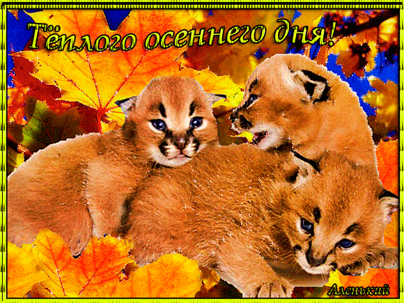 картинка под названием - Тёплого осеннего дня! из категории С днём рождения.