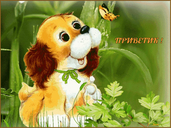 картинка под названием - Привет! из категории С днём рождения.