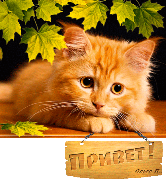 картинка под названием - Привет! из категории С днём рождения.