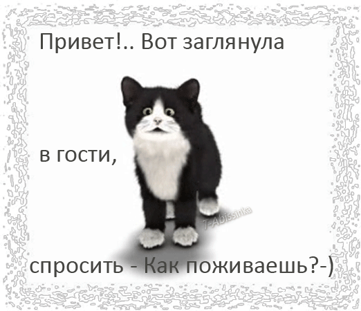 картинка под названием - Привет! из категории С днём рождения.