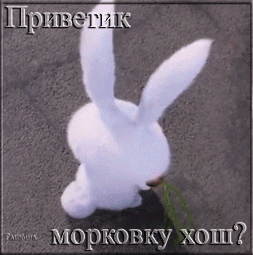 картинка под названием - Привет! Морковку хош? из категории С днём рождения.