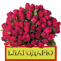 картинка под названием - Благодарю! из категории С днём рождения.