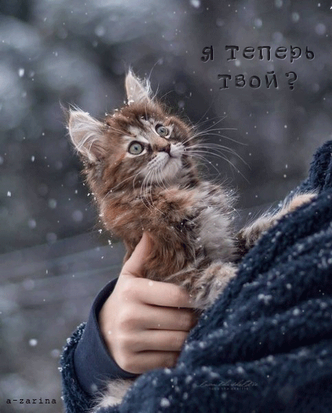 картинка под названием - я теперь твой? из категории С днём рождения.