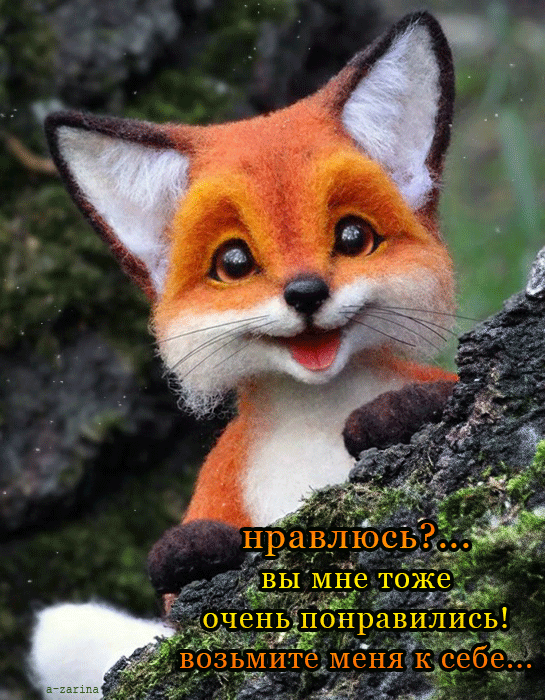 картинка под названием - Возьми меня к себе из категории С днём рождения.