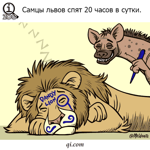 картинка под названием - Самцы... из категории С днём рождения.