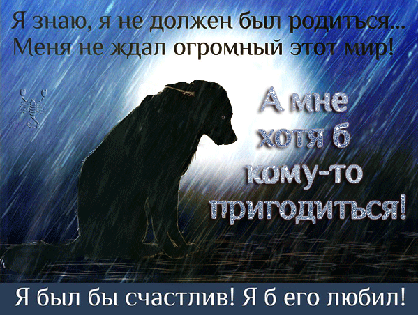 картинка под названием - Люди! Не бросайте собак! из категории С днём рождения.