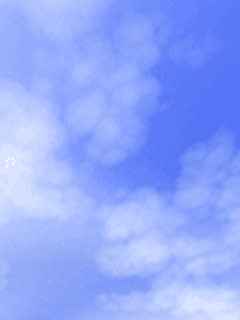 картинка под названием - Муха. из категории С днём рождения.