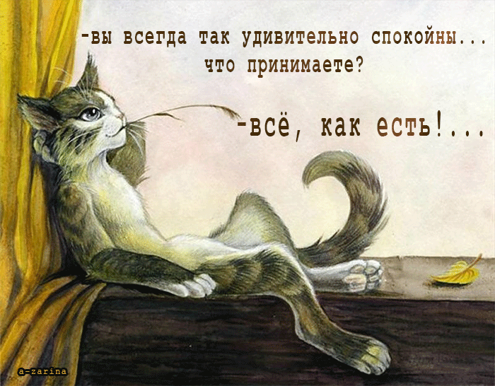 картинка под названием - принимаю всё, как есть из категории С днём рождения.