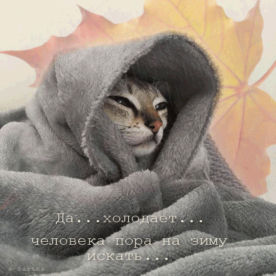 картинка под названием - Холодает... из категории С днём рождения.