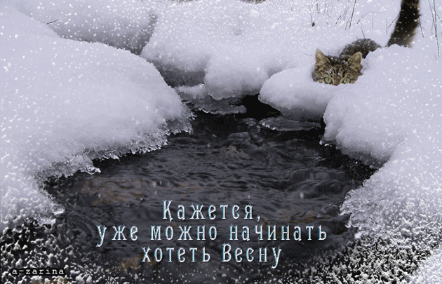 картинка под названием - Хочу весну! из категории С днём рождения.