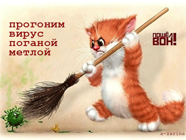 картинка под названием - прогоним вирус поганой метлой из категории С днём рождения.