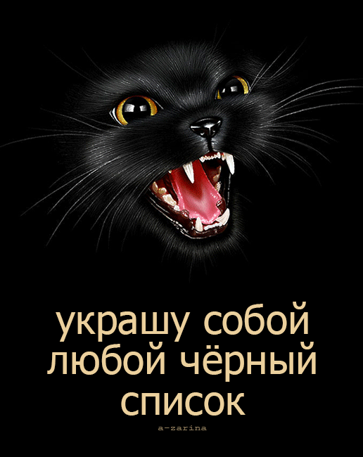 картинка под названием - Наглый чёрный кот из категории С днём рождения.
