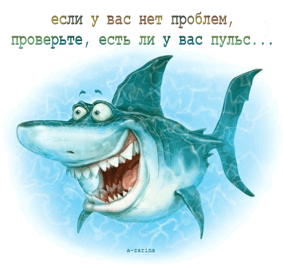 картинка под названием - Нет проблем из категории С днём рождения.