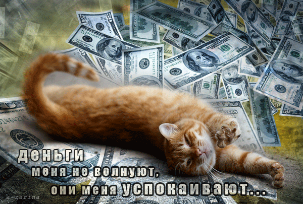 картинка под названием - Деньги меня не волнуют из категории С днём рождения.