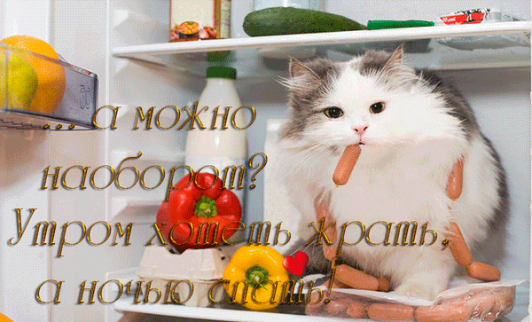 картинка под названием - А можно, наоборот? из категории С днём рождения.