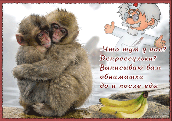 картинка под названием - Рецепт от доктора Айболита из категории С днём рождения.