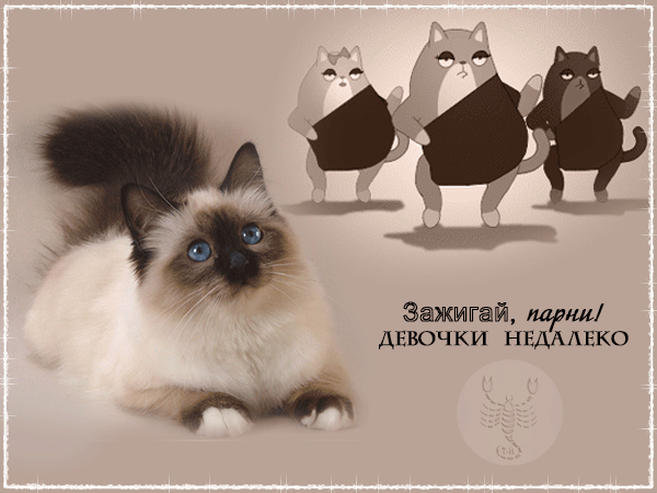 картинка под названием - Зажигай, парни! из категории С днём рождения.