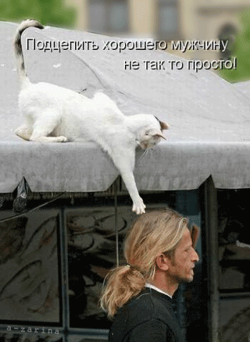 картинка под названием - Подцепить мужчину... из категории С днём рождения.