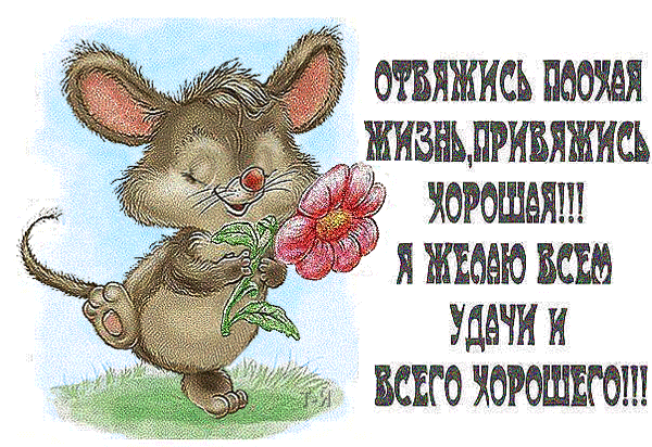 картинка под названием - Отвяжись плохая жизнь... из категории С днём рождения.