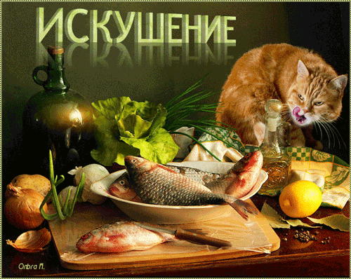 картинка под названием - Искушение Барсика из категории С днём рождения.