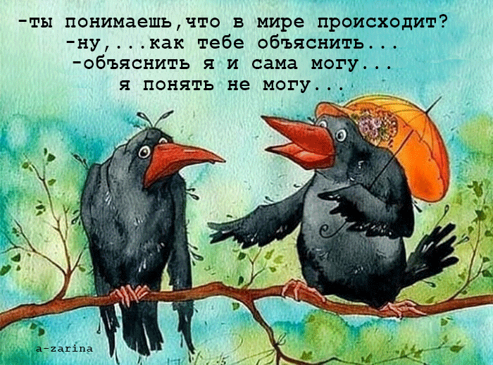 картинка под названием - офигевшая ворона из категории С днём рождения.