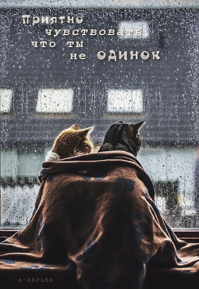 картинка под названием - Приятно чувствовать, что ты не одинок из категории С днём рождения.